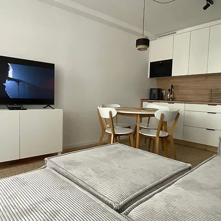 Klimatyczny W Centrum 公寓 *